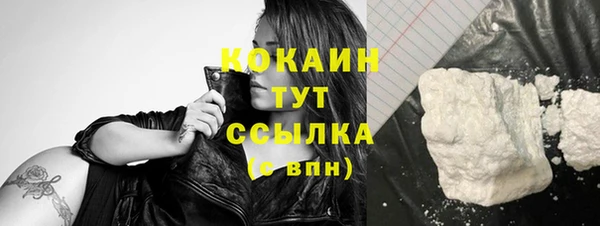 твердый Балахна