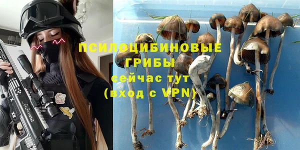 скорость Аркадак