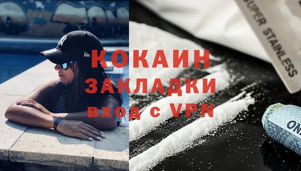 твердый Арсеньев